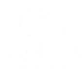 Collie Sklep Zoologiczny logo